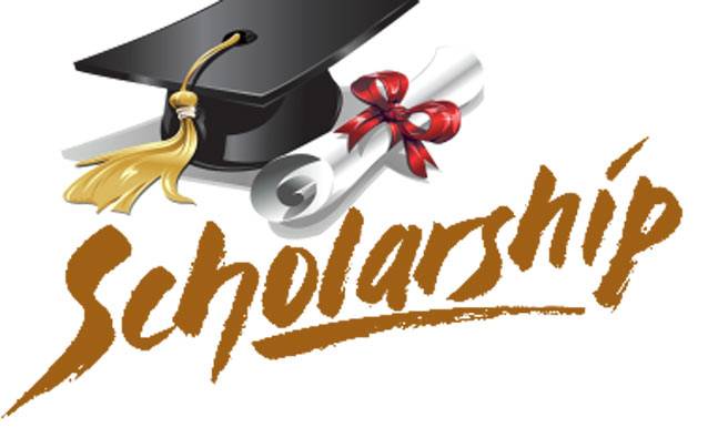 Prof Ghanashyam Dash scholarship