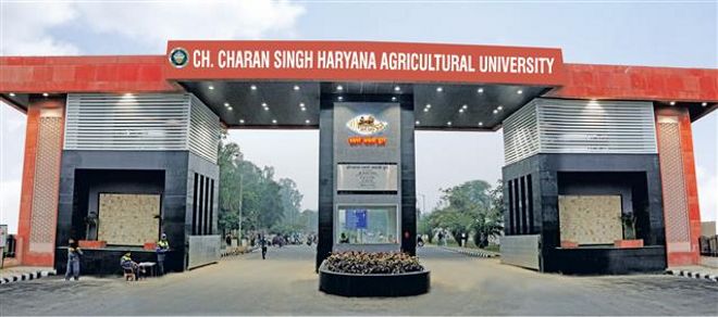 CCSH Agricultural University