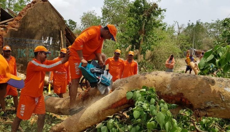 Schools Colleges Odisha Pandemic Curriculum