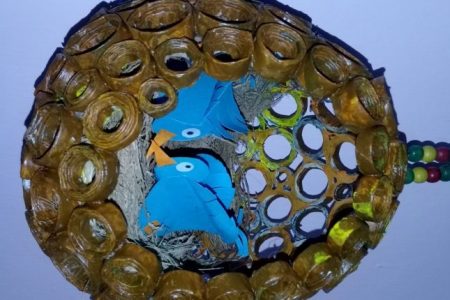 Students Of Central University Of Odisha Create Best Out Of Waste
