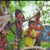Students Study On Tree