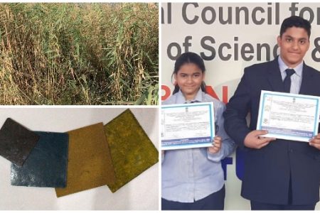KiiT School Students In Bhubaneswar Develop Particleboards From Weed Stem