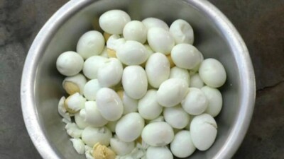 Odisha To Serve One Extra Egg, Nutrient-Rich Laddoos To School Students From April 1